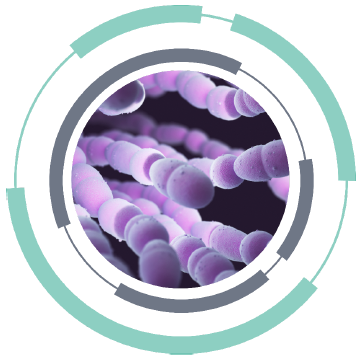 doença pneumocócica